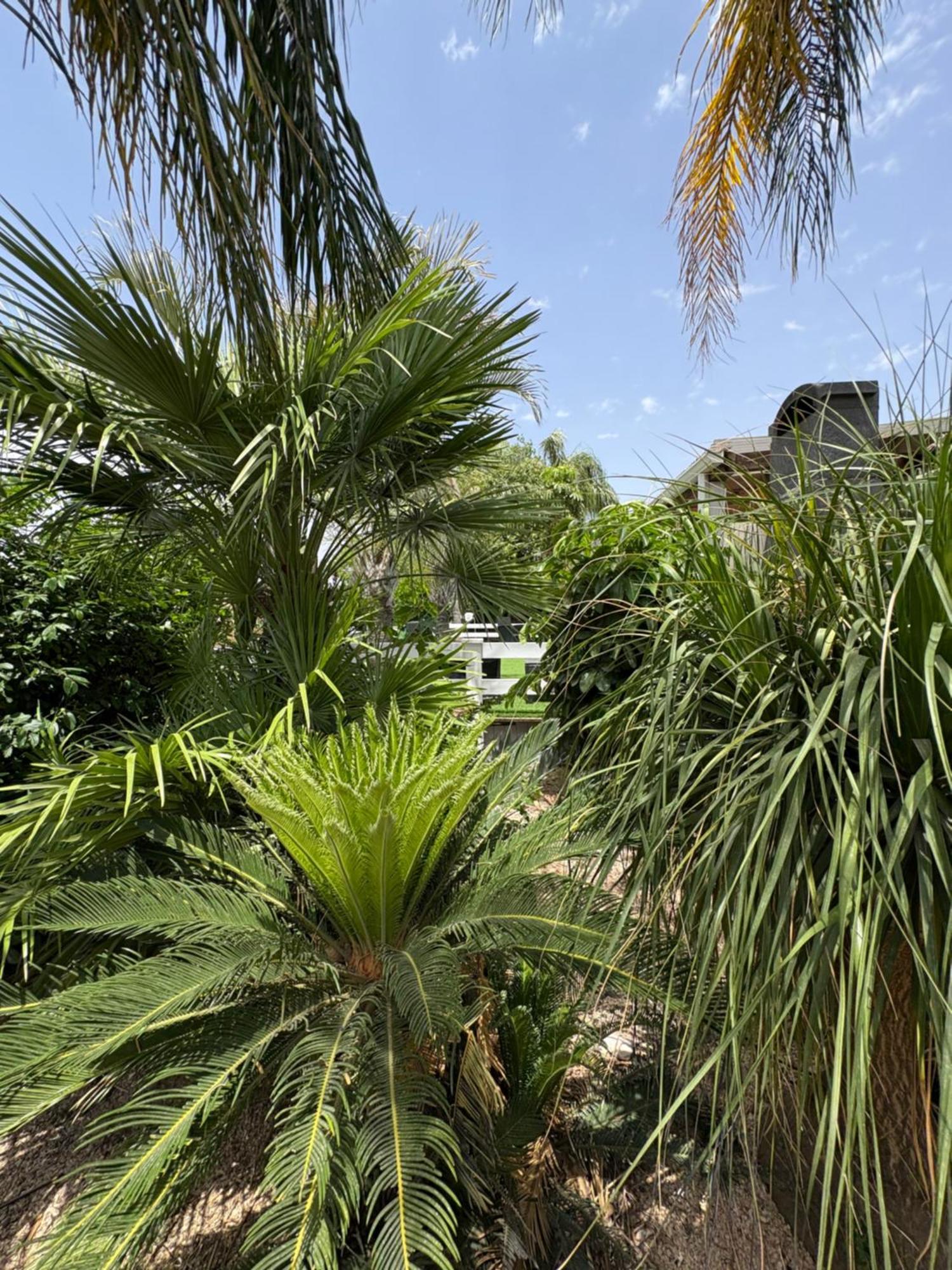 Villa Kesem Bagolan à Had Nes Extérieur photo